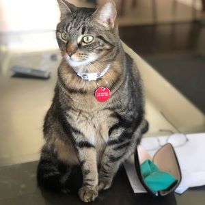 Meet your Posher, Lance